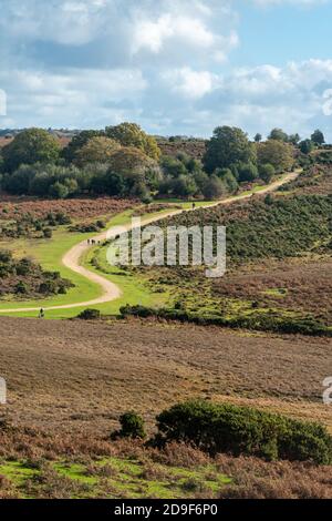 Pfad durch Heidenlandschaft oder Landschaft bei Ashley Walk im New Forest National Park, Hampshire, England, Großbritannien Stockfoto