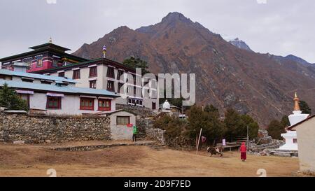 Berühmtes buddhistisches Kloster im Sherpa-Dorf Tengboche (Thyangboche, Höhe 3,860 m), der größten Gompa in der Khumbu-Region, auf dem Everest Base Camp Trek. Stockfoto