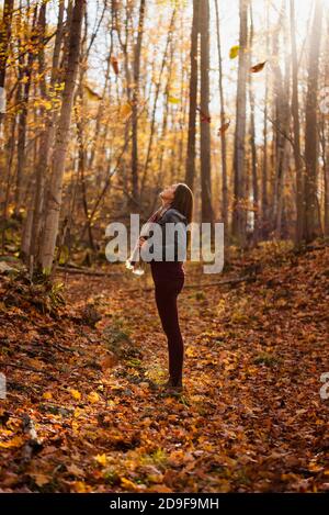 Frau, die an einem Herbsttag in einem Wald steht und auf die Bäume blickt. Stockfoto
