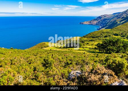 Sierra de Capelada, Vixia Herbeira Klippen, in der Nähe von San Andres de Teixido, Sierra de Capelada. Cedeira, A Coruña, Galicien, Spanien, Europa Stockfoto