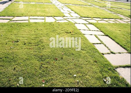 Steinpfad auf grünem Gras. Gartenweg mit Gras wächst zwischen den Steinen. Detail eines botanischen Gartens. Herbst trockene Blätter gefallen Stockfoto
