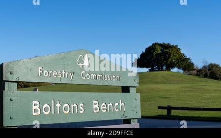 Forstkommission Zeichen an Boltons Bank mit Boltons Bank im Hintergrund, Lyndhurst, New Forest, Hampshire, England, Großbritannien Stockfoto