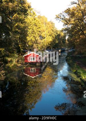 Herbst entlang des Basingtoke Canal bei Scotland Bridge, West Byfleet Surrey, England Stockfoto