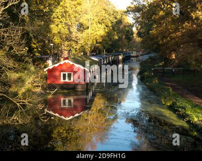 Herbst entlang des Basingtoke Canal bei der Scotland Bridge, West Byfleet Surrey, England Stockfoto