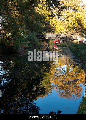 Herbst entlang des Basingtoke Canal bei Scotland Bridge, West Byfleet Surrey, England Stockfoto