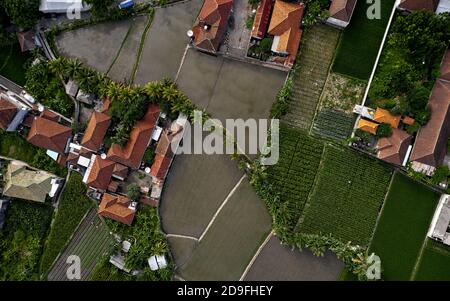 Ansicht oder Luftaufnahme von frischen grünen und gelben Reisfeldern. Luftaufnahme von gepflanzten Reisfeldern und ländlichen Dörfern, Geometrie der Landwirtschaft. Bali Stockfoto