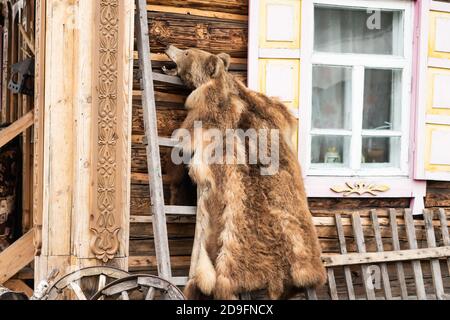 Gefüllter Bärenkopf mit offenem Mund. Stockfoto
