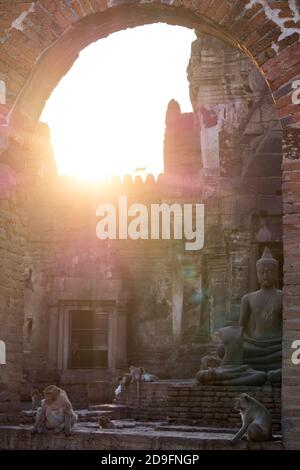 Sonnenstrahlen, die durch den Tempel voller Affen scheinen Stockfoto