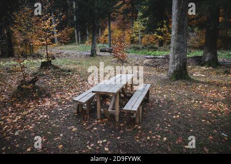 Holztisch und Bänke in der Mitte eines rumänischen Waldes während eines kalten und regnerischen Novembertages. Stockfoto