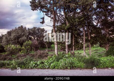 Rilievo (Misiliscemi), Italien : Landschaft von Rilievo, einem kleinen landwirtschaftlichen Weiler am südlichen Stadtrand von Trapani Stockfoto