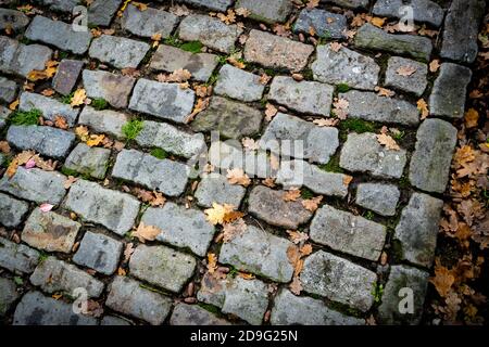 Alte Steinstraße mit grünem Moos Stockfoto