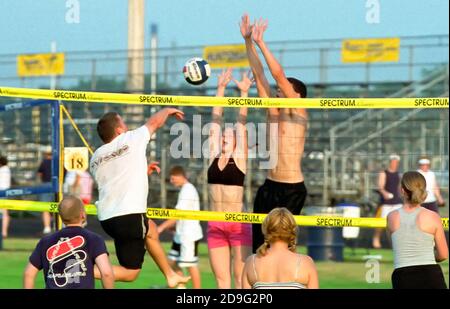 Volleyball Sport Aktion mit männlichen, weiblichen und Co-ed 4-Personen-Teams Stockfoto