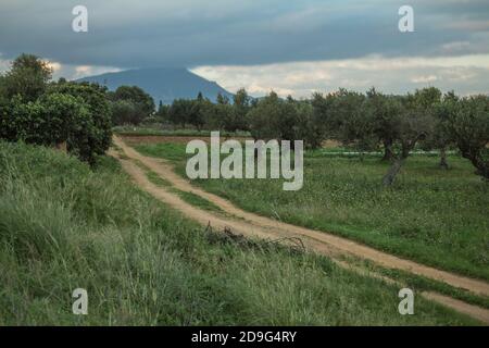 Rilievo (Misiliscemi), Italien : Landschaft von Rilievo, einem kleinen landwirtschaftlichen Weiler am südlichen Stadtrand von Trapani Stockfoto