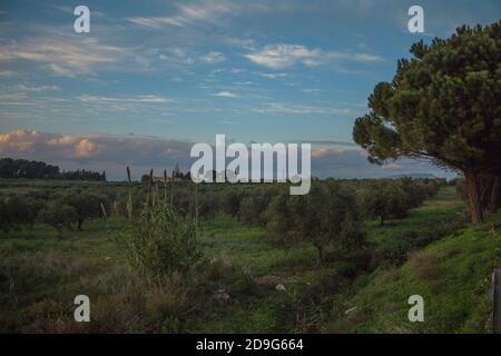 Rilievo (Misiliscemi), Italien : Landschaft von Rilievo, einem kleinen landwirtschaftlichen Weiler am südlichen Stadtrand von Trapani Stockfoto