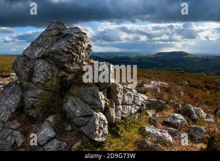 Abendlicht auf der südlichen Shropshire Landschaft, von den Stiperstones, Shropshire gesehen. Stockfoto