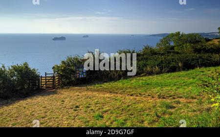 Die P&O-Kreuzfahrtschiffe Azura und Ventura ankerten während der Coronavirus-Pandemie vor der Südküste von Devon. (Als HDR-Bild verarbeitet). Stockfoto