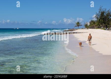 Ein attraktiver Mann spaziert mit dem Hund entlang des wunderschönen Sandstrandes in Barbados Stockfoto