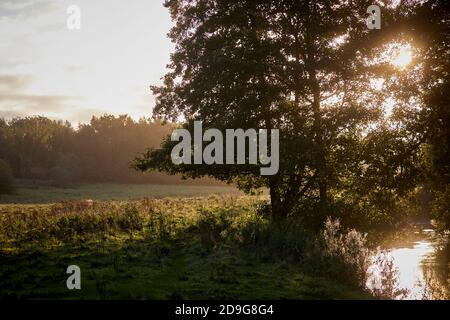 Wilmslow Wälder, Bollin Tal im Herbst mit dem Fluss Bollin Stockfoto