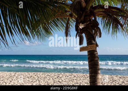 Hölzernes Schild mit der Aufschrift „Barbados 2020“ auf Palmen vor Strandwellen, Januar 2020 vor Pandemie Stockfoto