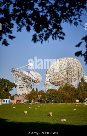 Cheshire Farmland mit Jodrell Bank Discovery Center dahinter Stockfoto