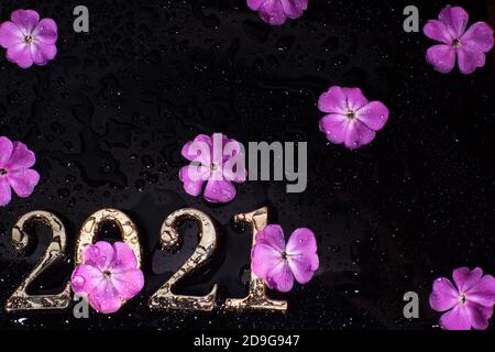Leuchtend rosa Blumen und Zahlen 2021 auf einem schwarzen Hintergrund mit Wassertropfen. Stockfoto