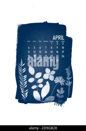 2021 Kalender mit Cyanotypieverfahren mit floralen Blättern erstellt. Monat April. Stockfoto