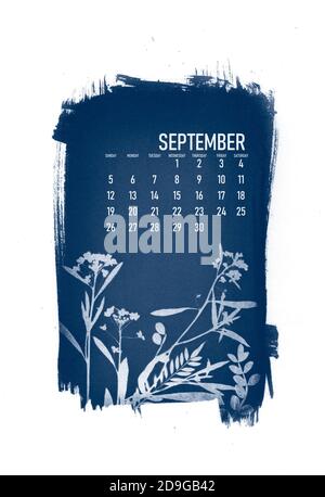 2021 Kalender mit Cyanotypieverfahren mit floralen Blättern erstellt. September Monat. Stockfoto