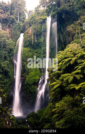 Sekumpul Wasserfall in Bali, Indonesien Stockfoto