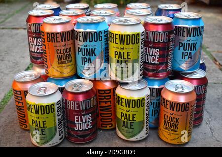 BrewDog produziert Vielfalt von Ales Lagers Es ist schottische Brauerei Und die Pub-Kette in Ellon Scotland Punk IPA ist Das meistverkaufte Craft Beer in England Stockfoto