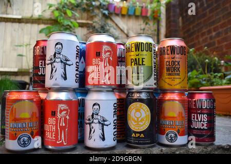 IPA und Pale Ale Craft Bierdosen. Hochwertige Biere, die exklusiv von Flavorly und BrewDog gebraut werden. Alkoholische Getränke werden in England geliefert Stockfoto