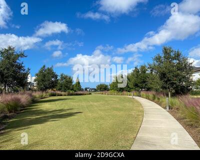 Ein wunderschön angelegter Gehweg in einer Nachbarschaft, gesäumt von Bäumen, Gras und Pampagras. Stockfoto