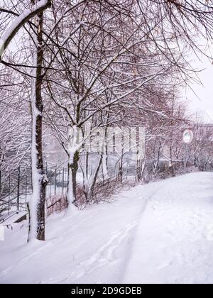 Winterszene mit Gehweg und schneebedeckten Bäumen - - Schneefall in Bewegung gefangen Stockfoto