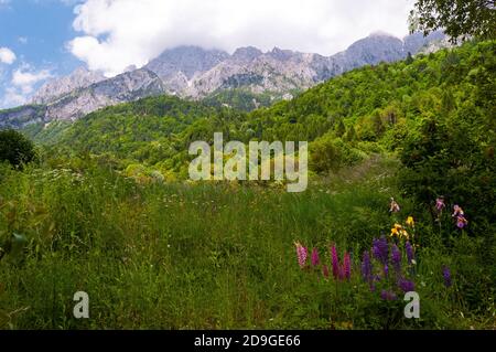 Karnische Alpen bei Pesariis, Friaul-Julisch Venetien, Italien Stockfoto