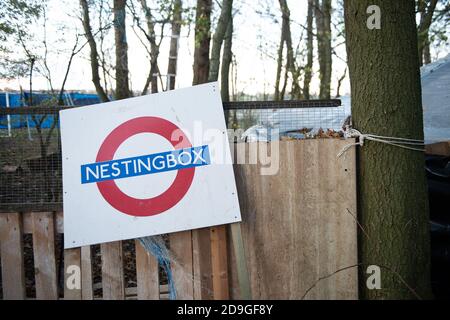 Steeple Claydon, Buckinghamshire, Großbritannien. November 2020. Anti-HS2-Umweltaktivisten leben in Poors Piece Wood, um es aus den Klauen von HS2 zu retten. Dieser anikente Wald und Teile der Landschaft um ihn herum sollen durch HS2 zerstört werden. Die umstrittene Hochgeschwindigkeitsbahn von London nach Birmingham ist sowohl für Dorfbewohner im Turm Claydon als auch für Umweltaktivisten von großer Bedeutung. Quelle: Maureen McLean/Alamy Stockfoto