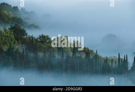 Am frühen Morgen schöne Chianti-Region, Toskana Hügel nebligen Landschaft Blick. Fichten- und Zypressenbäume versinken in nebligen Wolken an den Hängen des Berges. Stockfoto