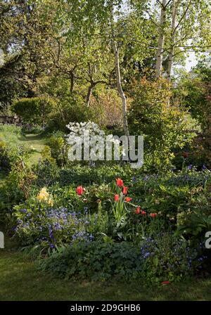 Ein erhebender früher Morgen im Alten Obstgarten - A regenbogen in Lockdown Stockfoto