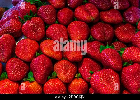 Sommerliche Fülle von schönen roten, reifen, großen Erdbeeren auf einem lokalen Markt. Stockfoto