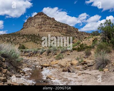 Creek, Main Canyon Trail, Little Book Cliffs Wild Horse Range, Little Book Cliffs Wilderness Study Area in der Nähe von Palisade, Colorado. Stockfoto