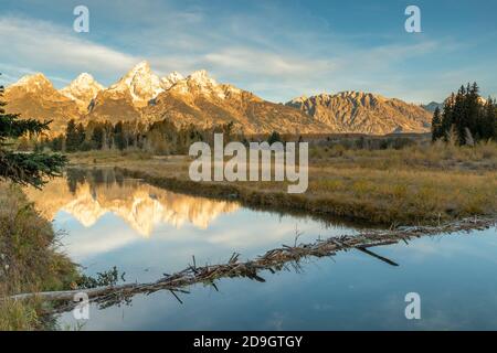 Die Teton-Reihe von Schwabachers Landung, Biberdamm, Grand Teton NP, WY, USA, von Dominique Braud/Dembinsky Photo Assoc Stockfoto