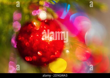 Defokussierte rote Weihnachtskugel, die am Zweig der Kiefer hängt. Out of Focus festliche strukturierte Effekt Ornament für die Feier Happy New Year, Weihnachten Stockfoto