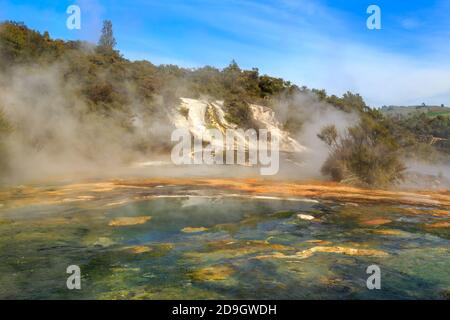 Orakei Korako Geothermie-Gebiet, eine Touristenattraktion in der Taupo vulkanischen Zone, Neuseeland. Dampf steigt von einer mit bunten Algen bedeckten Terrasse auf Stockfoto
