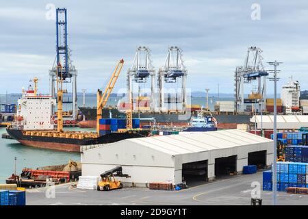 Der Hafen von Auckland, Neuseeland. Ein Blick auf die massiven Kräne am Fergusson Container Terminal Stockfoto