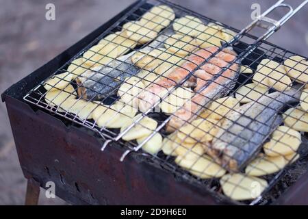 Zwei Seebarsch und Forellensteak Stockfoto