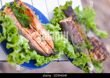 Zwei blaue Teller mit gebratenem Forellensteak und Seebarsch Stockfoto