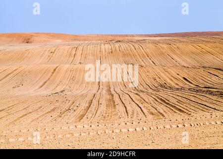 Nützliche und sichere Lebensmittel Stockfoto
