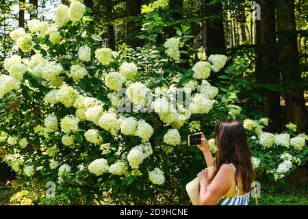 Weiße Frau, die ein Bild von einem schönen Blumenbaum Im Park Stockfoto