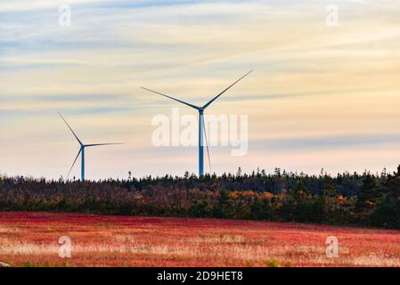 Große Windturbinen ragen über den herbstroten Blaubeerfeldern und der Landschaft von Prince Edward Island, Kanada. Stockfoto