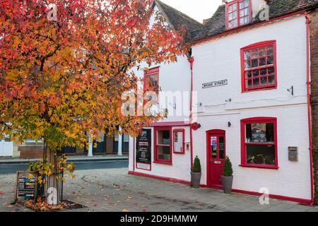 Liquidambar styraciflua Baum im Herbst vor dem Abingdon Spice Restaurant in einer breiten Straße. Abingdon on Thames, Oxfordshire, England Stockfoto