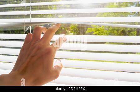 Die Hand öffnet sich mit den Jalousien der Finger, das Außenfenster hat Sonnenlicht und grüne Bäume. Konzept heißen Sommer und sengende Sonne Stockfoto