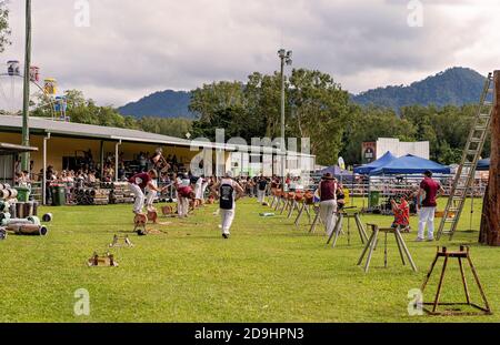 MACKAY, QUEENSLAND, AUSTRALIEN - 16. JUNI 2019: Männer treten bei der Pioneer Valley Country Show beim Holzhacken an Stockfoto